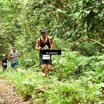 Runner Photo 7522806