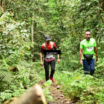 Runner Photo 7523040