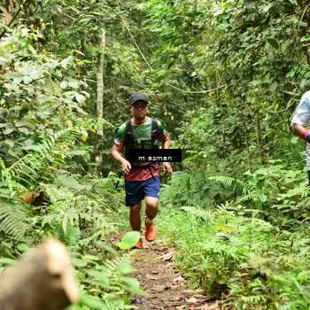 Runner Photo 7523125