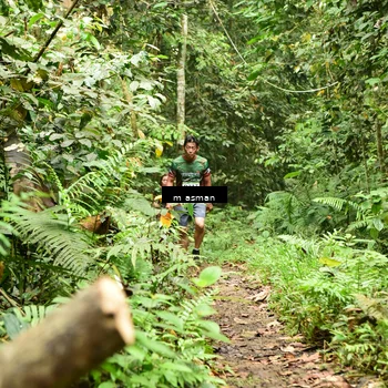Runner Photo 7523143
