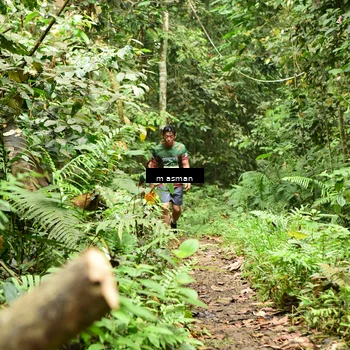 Runner Photo 7523148