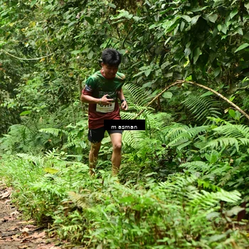 Runner Photo 7523225