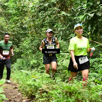 Runner Photo 7523708