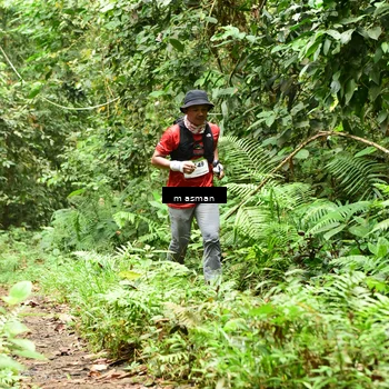Runner Photo 7523977