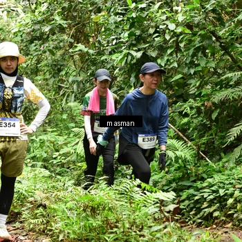 Runner Photo 7524093