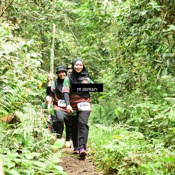Runner Photo 7524193