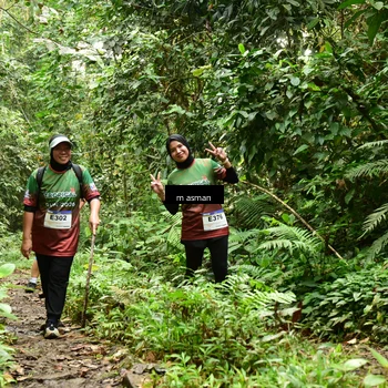 Runner Photo 7524624