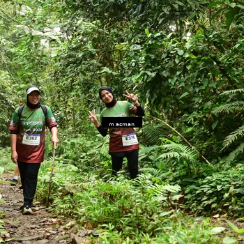 Runner Photo 7524625