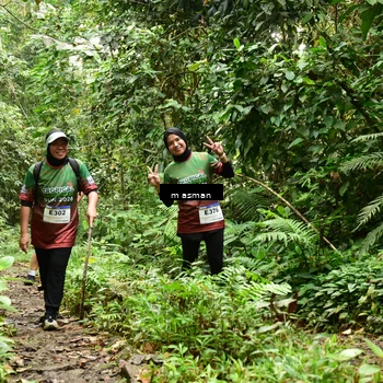 Runner Photo 7524626