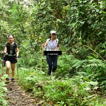 Runner Photo 7524830