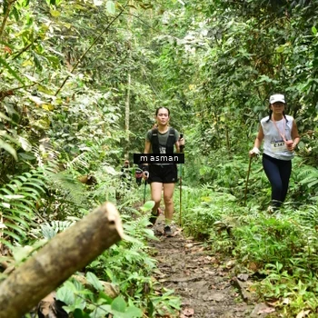 Runner Photo 7524835