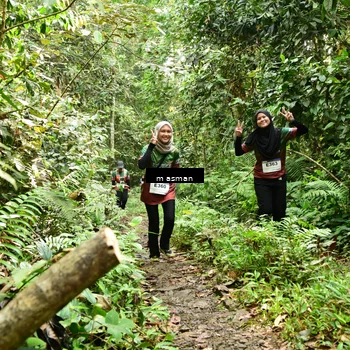 Runner Photo 7524907