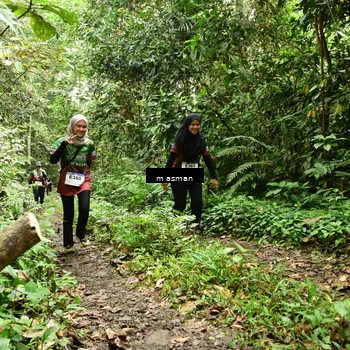 Runner Photo 7524931