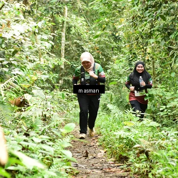 Runner Photo 7525031