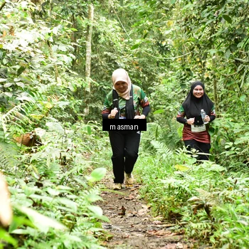 Runner Photo 7525038