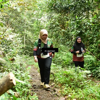 Runner Photo 7525059