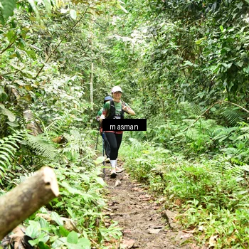 Runner Photo 7525196