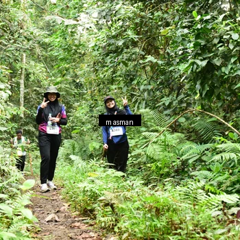 Runner Photo 7525224
