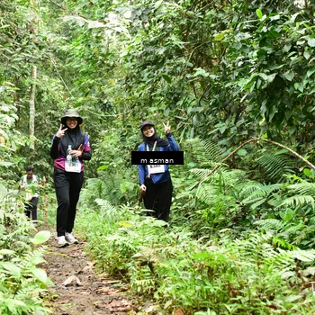 Runner Photo 7525227