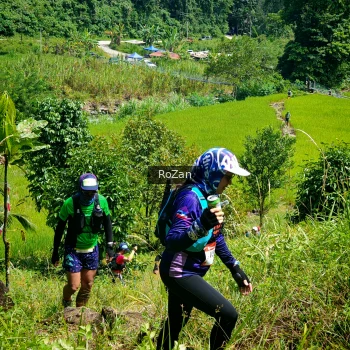 Runner Photo 75280