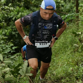 Runner Photo 75282