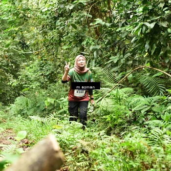 Runner Photo 7531947