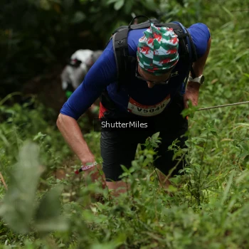 Runner Photo 75359