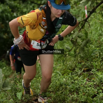 Runner Photo 75392