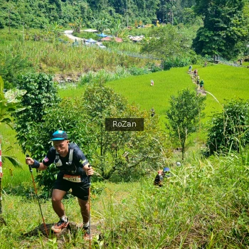 Runner Photo 75543