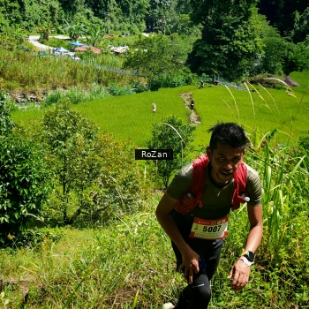 Runner Photo 75605