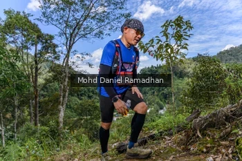 Runner Photo 75615