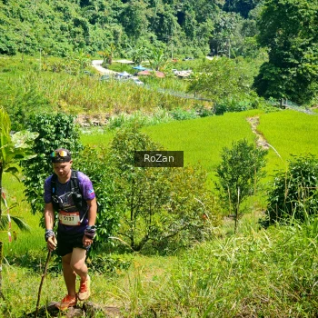 Runner Photo 75779