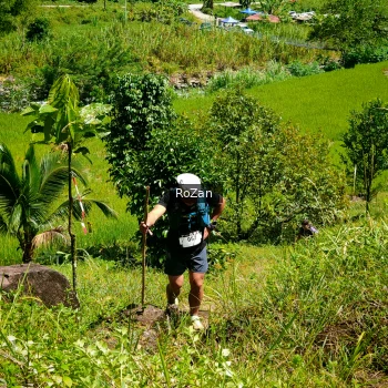 Runner Photo 75860