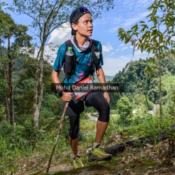 Runner Photo 75897