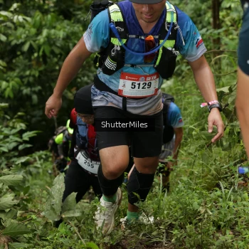 Runner Photo 75960