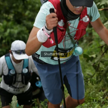 Runner Photo 75972