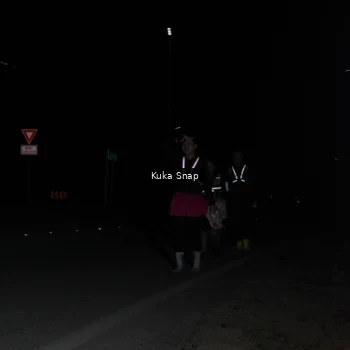 Runner Photo 7608526