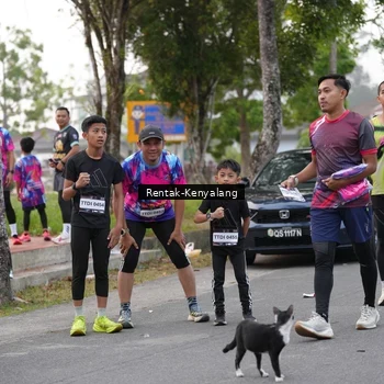Runner Photo 7613606