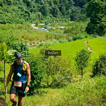Runner Photo 76149
