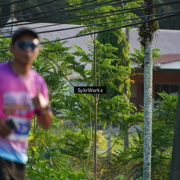 Runner Photo 7619309