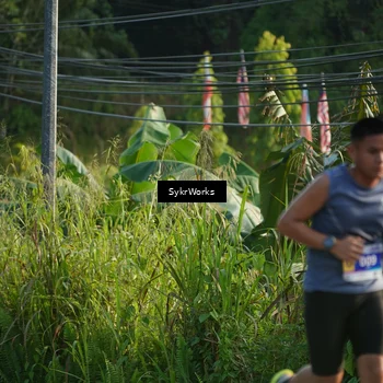 Runner Photo 7619348