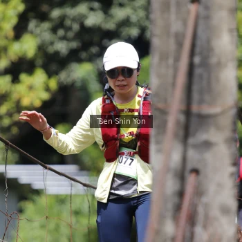 Runner Photo 76237