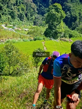 Runner Photo 76238