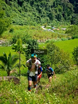 Runner Photo 76304