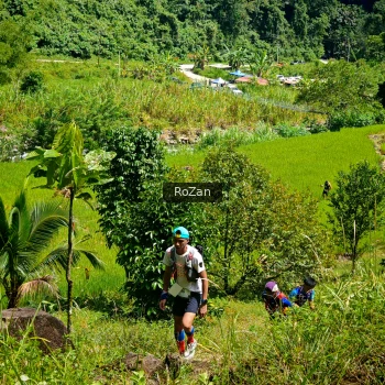 Runner Photo 76341