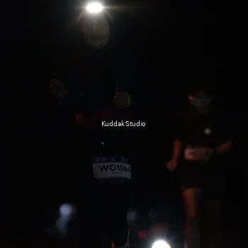 Runner Photo 7636238