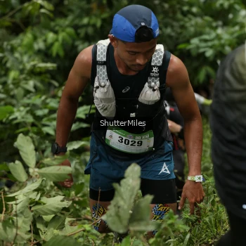 Runner Photo 76375