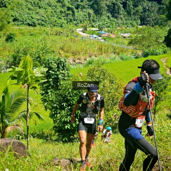 Runner Photo 76401