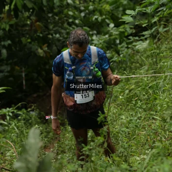 Runner Photo 76419