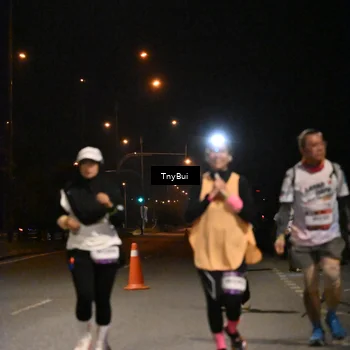 Runner Photo 7650627